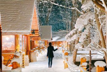 北海道精灵露台+旭山动物园+白须瀑布一日游丨可选9-13人【漫步森林精灵阳台的雪灯小径，邂逅冬日童话里的浪漫光景】