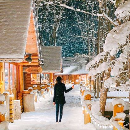 北海道精灵露台+旭山动物园+白须瀑布+白金青池一日游