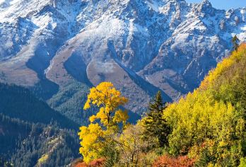 张掖马蹄寺+金塔寺一日游【金塔寺沿途·走走停停·小车团】【[出行无忧]市区内所有酒店上门免费接送，景区畅玩一整天，沉浸式体验，让每一位客人出行更加舒心】