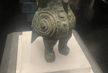 河南博物院 | 2H人工讲解+大咖优选导游【资深人工讲解、严选大咖老师。】