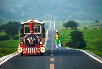 武隆天生三桥+仙女山一日游2-8人小团·赠乌江画廊+旅意险【[品质保障]2-8人品质小团，人少自由不等待，真正的纯玩无套路】