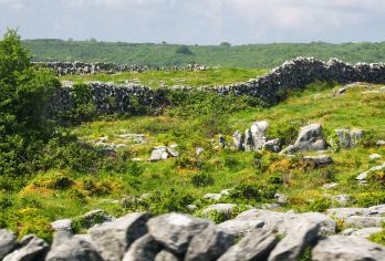 爱尔兰都柏林出发： 卡瑟尔岩+巴伦国家公园一日游【行程可调】【省时省心+行程灵活+VIP包车一站式服务+中文司导】