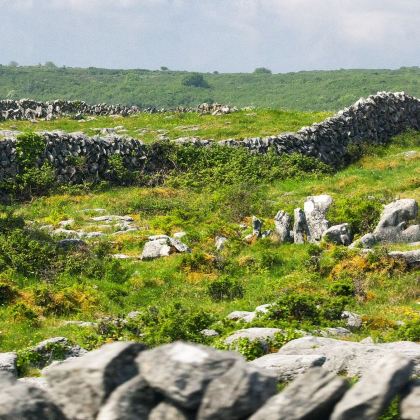 爱尔兰都柏林出发：国家公园+卡瑟尔岩一日游