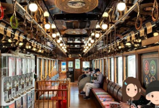 和歌山贵志站+金枪鱼解体秀+奥莱一日游【可上门接可送机】【4人即发，避开观光客，深入感受和歌山，奥莱购物，可在关西机场奥莱和关西机场脱团】