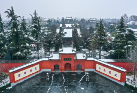 少林寺+白马寺一日游【市区内上门接/含讲解 门票/纯玩团】【[参团便利] 市区中心路段，均可安排接；】