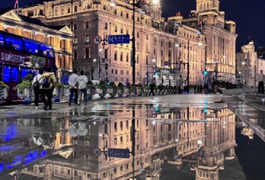 上海文艺潮玩线，上海野生动物园+武康路+安福路包车一日游【自然文艺双享 上午动物园看动物，下午武康路打卡百年洋房，人文与自然切换。】