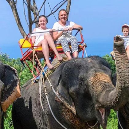 泰国普吉岛卡马拉海景大象营+泰国普吉府普吉岛卡马拉海景大象营一日游