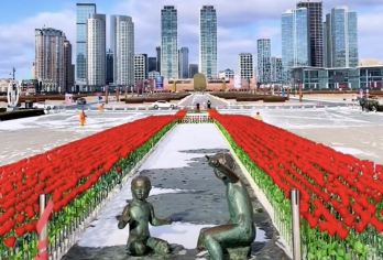 大连棒棰岛+都市全景深度一日游；2-6人小团；上门接送【重点在这里：棒棰岛私享专车直达海边景区！免步行进入，全程无额外消费、无购物！】