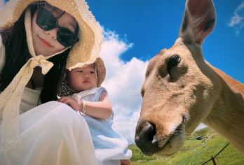 仰天湖大草原一日游【门票+小车（可升级上门接+送）】【[纯玩]1人起订，天天发班，纯玩无购物，南方高山草原，宫崎骏漫画现实版】