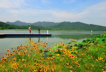 浙江宁波一日游|天一阁博物院+东钱湖+老外滩+南塘老街可调【10小时vip服务】