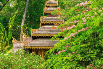 西双版纳傣族园+总佛寺+曼听公园+般若寺一日游【中文包车，定制服务，安心自由】