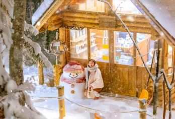 日本北海道冬日旭山动物园+四季彩之丘+森林精灵阳台一日游【尽情观赏北海道冬日浪漫，在粉雪的海洋里徜徉~】