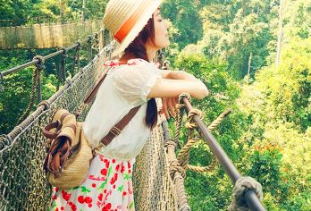 望天树一日游【纯玩+畅游水陆空+导游讲解+多种方式解锁雨林】【[精品推荐]全程纯玩无购物，专注旅游服务，游客至上，体验至上，趣味至上】