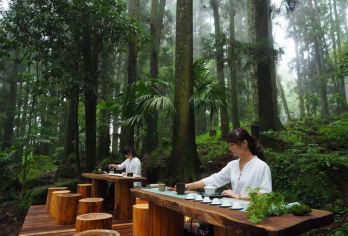 森林与晨曦的約定～阿里山国家风景区+奋起湖老街一日游【可以附加 英.日.韩.泰.越南.菲律宾.印尼.马来.等多种语言.订购栏目中订购英文.备注栏中告知即可】