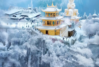 乐山大佛+峨眉山一日游【2-8人专车团/臻享纯玩/含门票】【[品质纯玩]纯玩品质、不进店购物、无强制消费行程透明；】