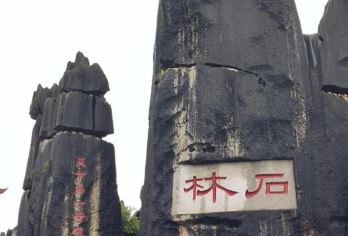 云南昆明石林风景区一日游︱门票+优质纯玩+优秀导游+特色午餐【[游玩品质]真正纯玩，无购物，给游客充足时间饱览美景，身临其境感受地上喀斯特地貌奇观！】