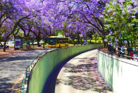 葡萄牙里斯本-文化艺术与美食之旅【中文司机】一日游【文化艺术与美食之旅】