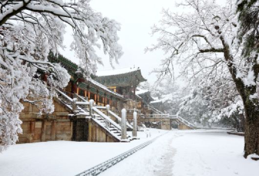 庆州半日精华游: 佛国寺+皇理团路+国立庆州博物馆 (釜山)【佛国寺探访｜参观庆州代表性古迹佛国寺，欣赏石塔与佛像之美，感受被列入世界文化遗产的千年历史氛围。】
