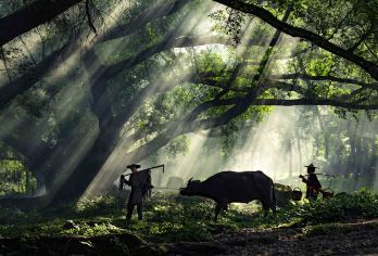 福建霞浦+杨家溪一日游【旅游摄影包车 （5座~19座）】【[特色服务]全天微导游服务，游玩时间充足、轻松享受假期】