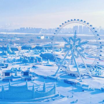 【哈尔滨冰雪大世界+ 虎林园+ 东北卢浮宫哈药博物馆】一日游