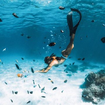 苏梅岛：涛岛阁道岛+南园岛一日游快艇出海浮潜 酒店接送含午餐