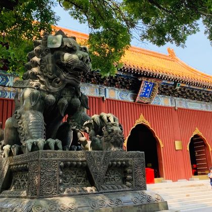 北京雍和宫+孔庙和国子监博物馆一日游