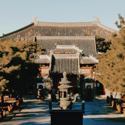 奉国寺+万佛堂石窟一日游【锦州上门接送|2-8人精品小团】