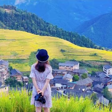 桂林龙脊梯田+平安壮寨梯田+金坑大寨梯田一日游【双寨纯玩】