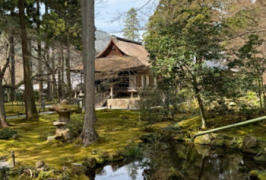 日本京都-琉璃光院-三千院-贵船神社-红叶满天 京都巡礼。【专业行程定制，精选热门景点，高效游玩不走回头路，贴心服务保障，轻松】