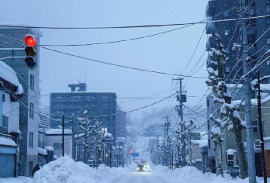日本北海道小樽一日游｜天狗山｜札幌往返｜寻找《情书》中的美景【尊享一对一高端行程定制，多日豪华包车专属礼遇，专业旅行顾问24小时恭候垂询。】