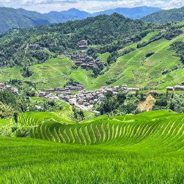 桂林龙脊梯田+金坑梯田一日游【私家团走高速】【本地知名司导】