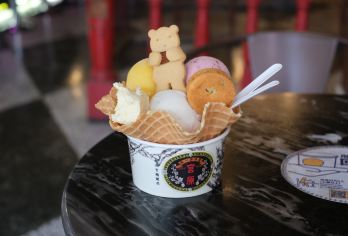 台中高美湿地、彩虹眷村一日游8小时：客制化行程（台中出发）【专业中／英／日／韩司机带领，轻松游探访台北知名景点】