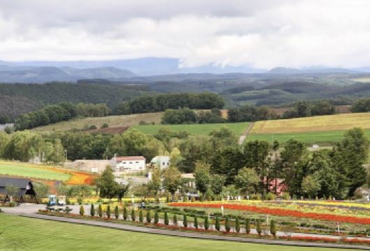 日本札幌-小樽经典一日游【北海道专车 行程可定制】【中文专车出行，行程自己定义，无需等待，专属贴心服务，尽享惬意旅程】