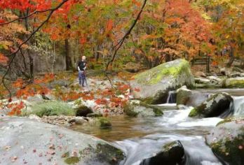 本溪老边沟风景区+大石湖风景区一日游【含车费+门票+保险】【[品质保证]旅行社承诺不进任何暗点，真正团型。】