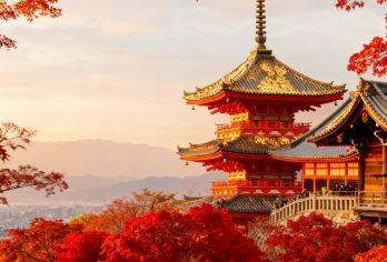 【限时优惠】日本京都+奈良一日游丨可选9人精品小团【[出游人数]9/13人/包团/随心行可选 &[INS景点] 打卡INS上火爆景点】