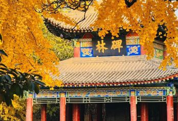 西安碑林博物馆半日游【2.5H深度大咖讲解.15人.含耳麦】【[深度大咖讲解]趣味深度讲解，聆听碑林930年的历史文化；2.5H深度全面新老馆通讲；多场次可选；】