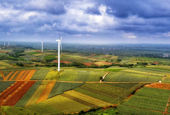 湛江菠萝的海+南极村一日游【1人起订√ 2~14人纯玩团】【家庭游，情侣游，闺蜜游，亲子游。】