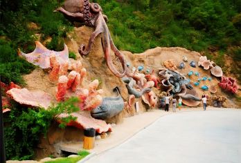 大连+棒棰岛+星海广场+大连海昌东方水城一日游【帆船出海】【[深度体验 ]不远观，无套路，消费透明，品质出行，一价全含。】