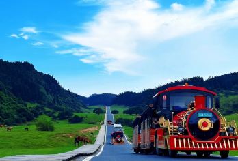 【VIP·睿行包车尊享】天生三桥+仙女山+乌江观景台一日游【本土红榜旅行社，自有强大的自营车队和司导。纯玩不进店，天天发团，本社直发，不转团不卖团品质有保障。】