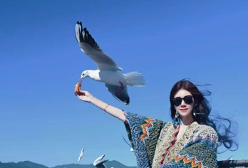 昆明+滇池+云南民族村+西山风景名胜区+龙门一日游【[车辆品质]有资质的正规旅游车辆，安全，舒适，整洁！】