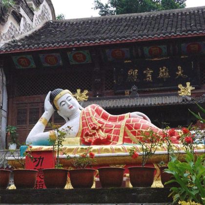 四川自贡仙市古镇+盐业历史博物馆+燊海井包车一日游可英文服务