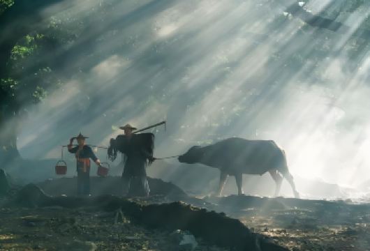 宁德霞浦杨家溪+北岐滩涂+小皓滩涂+留云禅寺+三沙东壁日落【可选私家团出游[私人定制+独立包车+品质游玩]】