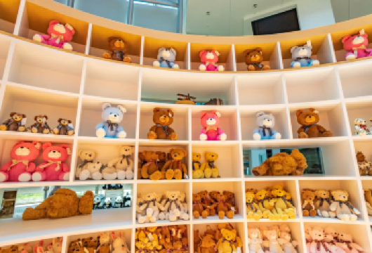 【济州岛中文团】泰迪熊+凯蒂猫+柱状节理带+【南线经典打卡】【告别公共交通的烦恼，迎接直达路线和灵活的时间安排。】