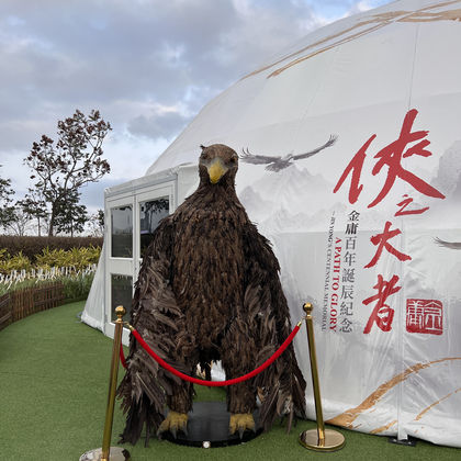 中国香港星光大道半日游