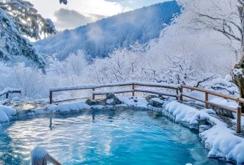 日本札幌出发打卡小樽积丹半岛/可登别富良野北海道多日包车精选【包车一日游，解锁旅行新方式！独立车辆配备经验丰富的老司机，为您量身打造专属行程。】