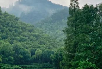 湖州莫干山包车日游/英文/小语种导游 JY【全程中文/英文/小语种服务，沟通无障碍，景点可调】