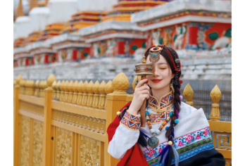 塔尔寺＋青海湖一日游【8人内纯玩小团市区上门接送】【1人可定，8人内精品团，市区上门接送，出行更舒适。】