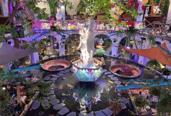 胡志明市：锦鲤鱼咖啡馆及西贡隐藏景点之旅【在拥有锦鲤鱼池和郁郁葱葱绿植的隐秘花园咖啡馆放松身心 在当地导游的带领下，探索西贡的咖啡馆文化。在藏书丰富的书店咖啡馆里享受一段舒适的休憩时光。 参观标志性的谭定教堂，它有着引人注目的粉红色外墙。】