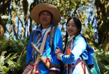 腾冲青草岭毛毛球森林7km一日游【毛毛球森林+傈僳人家】【下车即达毛毛球森林，毛毛球覆盖广】