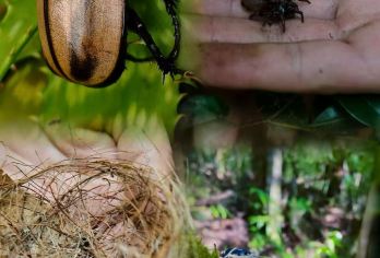 腾冲高黎贡徒步1日游！野温泉+荒野厨房+原始森林 芒棒窜龙线【深入高黎贡腹地，了解沿途动植物知识，探秘罕至的瀑布溪流，体验真正的轻探险】